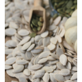 Xinjiang Brand Cheap And Good Quality Snow White Pumpkin Seeds